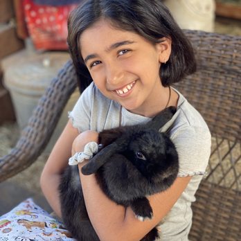 Maui Animal Farm - Bunny cuddling - Petting Zoos Near Me - Lahaina, Hawaii