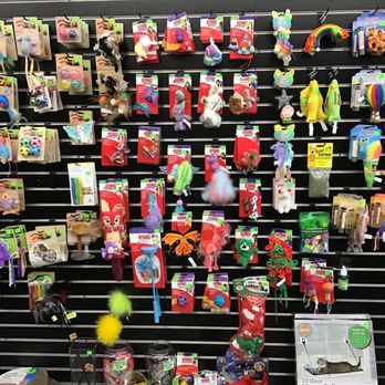 The Pet Authority - Pet Stores Near Me - Albert Lea, Minnesota