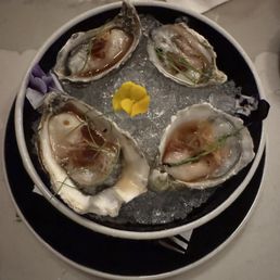 Oysters Oysters