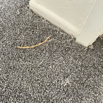 Elite Carpet & Tile - Not cleaned up after installation - Carpeting Near Me - Loma Linda, California Elite Carpet & Tile - Not cleaned up after installation - Carpeting Near Me - Loma Linda, California