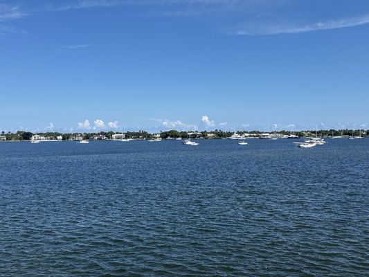Manatee Lagoon by null