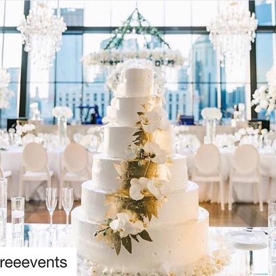 Dessert Designs by null