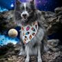Photo of Le Paw Spa