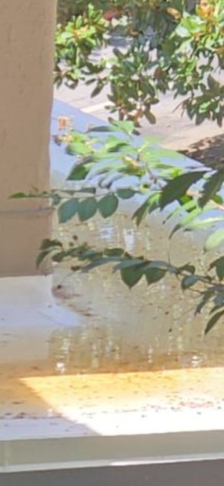 Slide of All Star Roofing