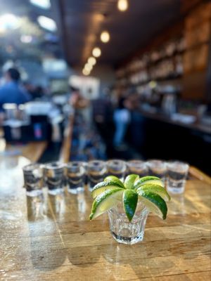 Southern Pacific Brewing by null