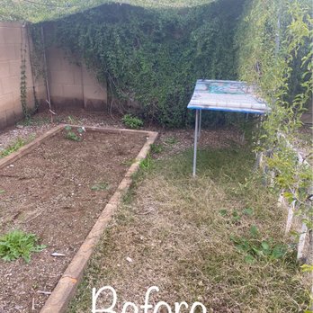 Precision Landscape - Our garden before the service - Landscaping Near Me