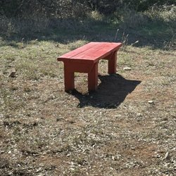 Jan 2026 a random bench along the trail