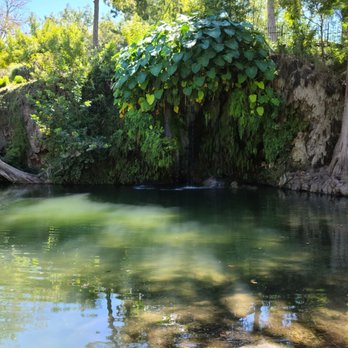 Krause Springs - Campgrounds Near Me - Spicewood, Texas Krause Springs - Campgrounds Near Me - Spicewood, Texas