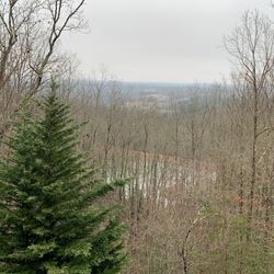Blue Ridge Mountain Outfitters - View from our cabin.