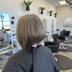 Shine Hairspa