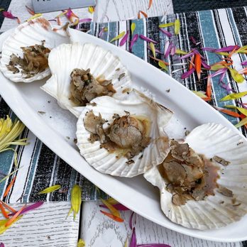 Casa Modena - Scallops - Italian Near Me - Los Angeles, California