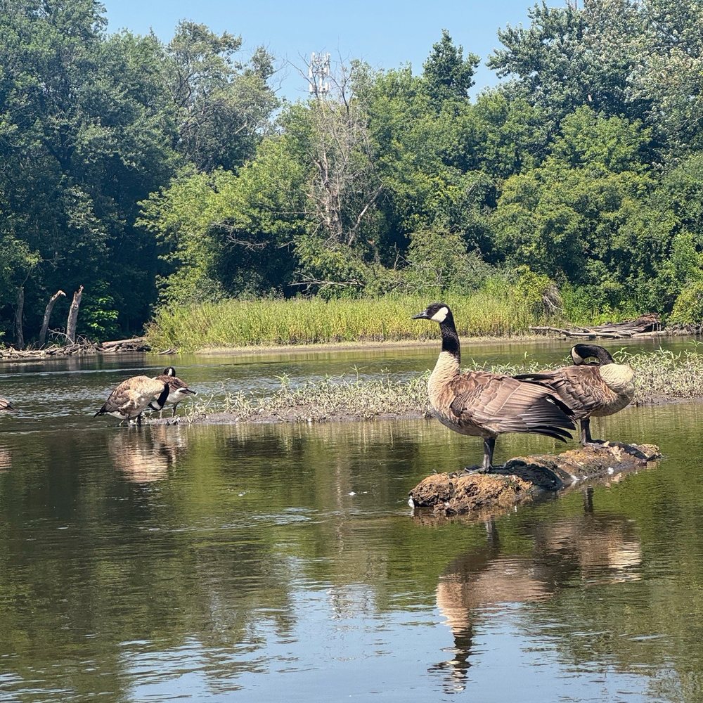 Howling Wolf Canoe & Kayak - Rafting/Kayaking Near Me - North Aurora, Illinois
