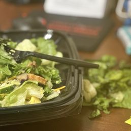 Just to show how I had to pull soggy salad out. It was to much just throwed the salad away. Just to show how I had to pull soggy salad out. It was to much just throwed the salad away.