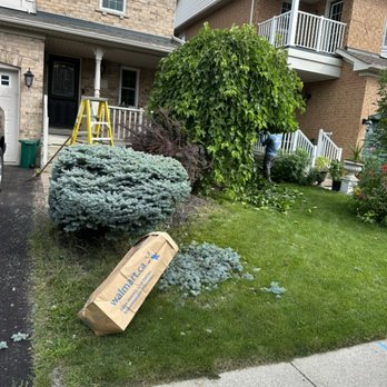 Moose Landscaping - Before - Landscaping Near Me Moose Landscaping - Before - Landscaping Near Me