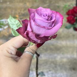 mauve/pink flower they said was lavender