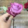 Photo of Dazio Floral