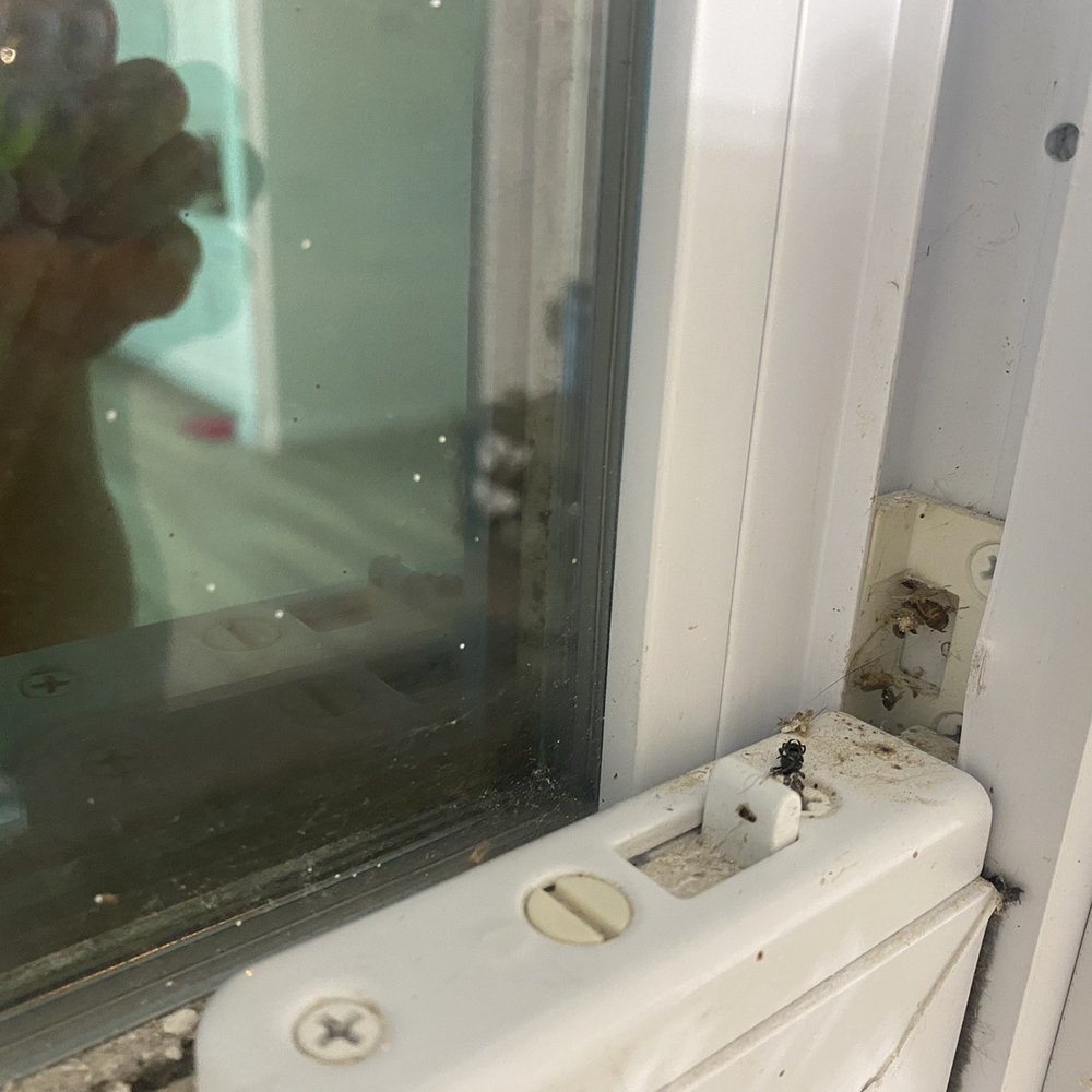 Flat Rate Property Management - I cleaned these myself. - Property Management Near Me - Apopka, Florida Flat Rate Property Management - I cleaned these myself. - Property Management Near Me - Apopka, Florida