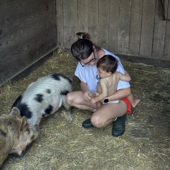 Comus Sky Farm - Guests enjoying a happy moment with recent Kune-Kune piggies, Lollipop and Louie - Dog Parks Near Me - Barnesville, Maryland