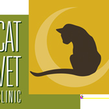 Cat Veterinary Clinic - Veterinarians Near Me - Houston, Texas Cat Veterinary Clinic - Veterinarians Near Me - Houston, Texas