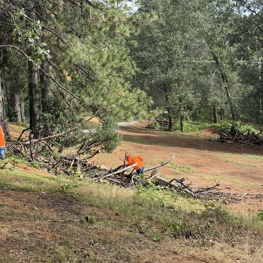 M&B Tree Solution - Section up one of the trees that were dropped along my driveway - Tree Services Near Me - North Highlands, California M&B Tree Solution - Section up one of the trees that were dropped along my driveway - Tree Services Near Me - North Highlands, California