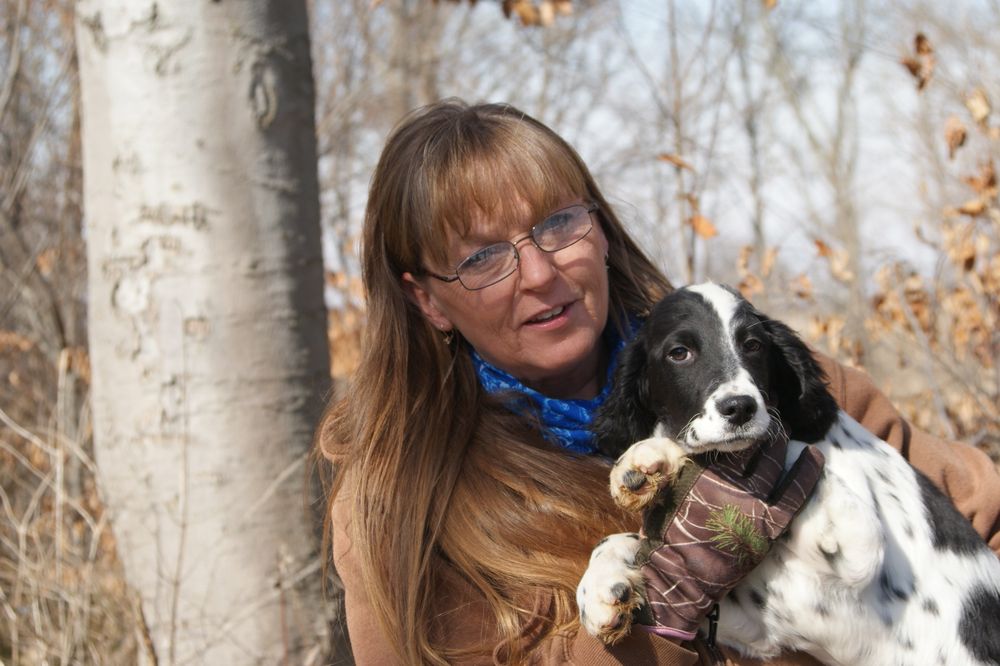 HORSES & HUNTING DOGS 29 Photos 8231 Swamp Creek Rd, Lewisburg