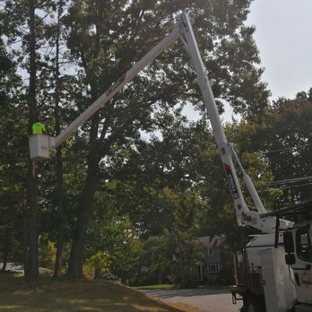Stumpy's Tree Service - Tree Services Near Me - Ashland, Massachusetts
