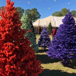 AV Tree Farms