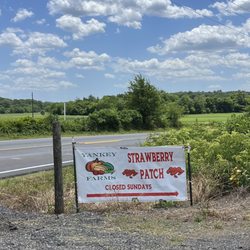 Yankey Farms - Roadside sign