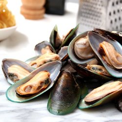 JR Seafood - Frozen Half Shell Green Mussel sell by 2lb box