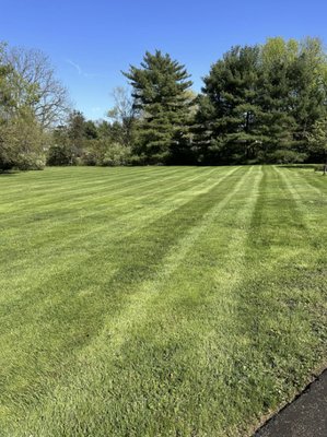 Lawn Maintenance & Grass Cutting - Keep your lawn lush, healthy, and perfectly trimmed with our regular maintenance services, including mowing, grass cutting, edging, and fertilization. We ensure your yard stays green and inviting year-round. Lawn Maintenance & Grass Cutting - Keep your lawn lush, healthy, and perfectly trimmed with our regular maintenance services, including mowing, grass cutting, edging, and fertilization. We ensure your yard stays green and inviting year-round.