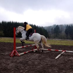Goin Places Riding School - Glorious arena view of the misty hillside and great horses to ride.