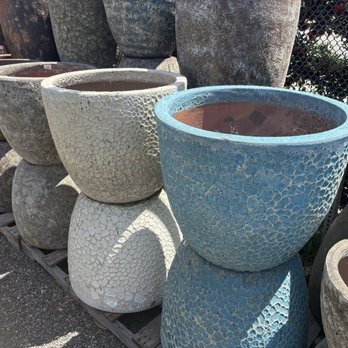 C&S Garden Center - Nurseries & Gardening Near Me - Lawndale, California C&S Garden Center - Nurseries & Gardening Near Me - Lawndale, California