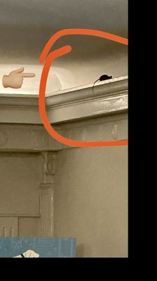 The Saratoga Apartments by null