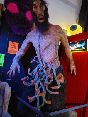 The Freakybuttrue Peculiarium and Museum by null