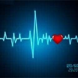 Texas' Best CPR Training