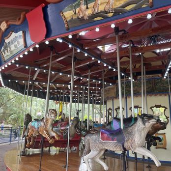 Houston Zoo - Zoos Near Me - Houston, Texas Houston Zoo - Zoos Near Me - Houston, Texas