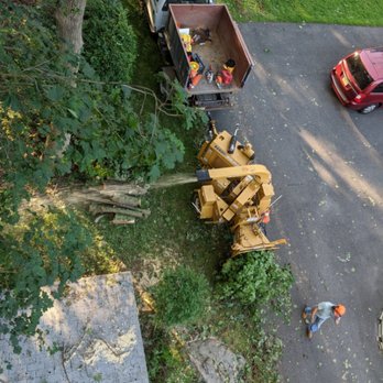 Happy House Construction - Chip it - Tree Services Near Me Happy House Construction - Chip it - Tree Services Near Me