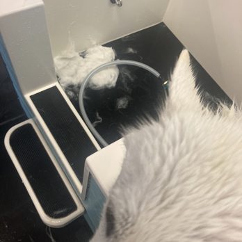 The Soggy Dog - Deshedding shampoo and conditioner works great, is gentle and smells nice - Pet Stores Near Me - Henderson, Nevada The Soggy Dog - Deshedding shampoo and conditioner works great, is gentle and smells nice - Pet Stores Near Me - Henderson, Nevada