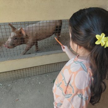River Street Ranch - Petting Zoos Near Me - San Juan Capistrano, California