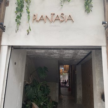 Plantasia Cafe - The front entrance - Pan Asian Near Me - Ciudad de Mexico, DIF Plantasia Cafe - The front entrance - Pan Asian Near Me - Ciudad de Mexico, DIF