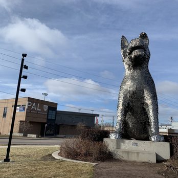 Denver Animal Protection - Veterinarians Near Me - Denver, Colorado Denver Animal Protection - Veterinarians Near Me - Denver, Colorado