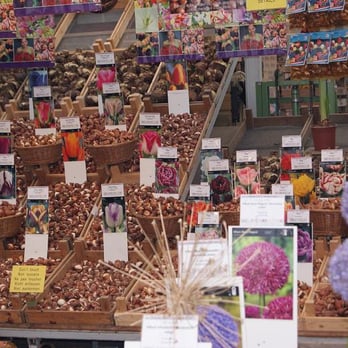 Bloemenmarkt - Flowers Market Assortment - Florists Near Me - Amsterdam, New Hampshire