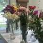Blucid Floral