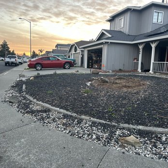 Life Turf Landscaping - Artificial Turf Near Me - Petaluma, California