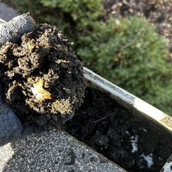 Guttermost Pros - Debris removed from gutter!!!