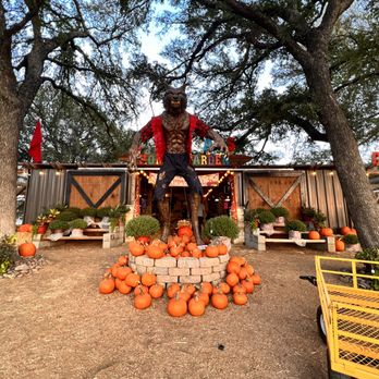 Texas Home & Garden - Christmas Trees Near Me - Fort Worth, Texas Texas Home & Garden - Christmas Trees Near Me - Fort Worth, Texas