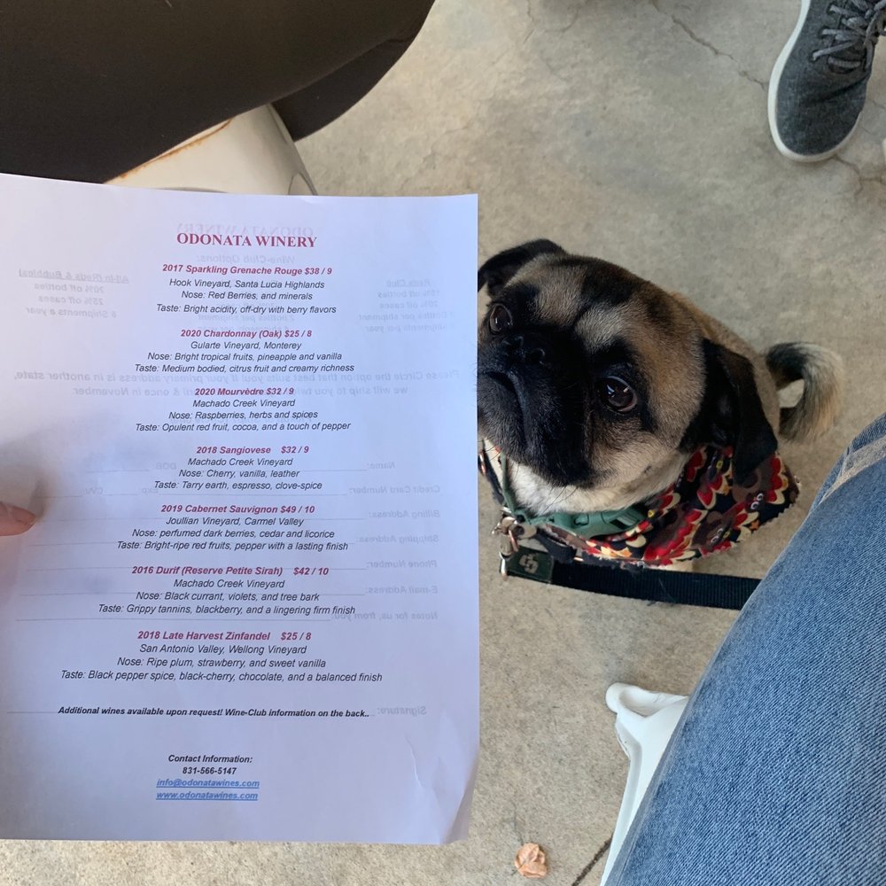 Odonata - Dog friendly wineries are always a good idea! - Wineries Near Me - Salinas, California Odonata - Dog friendly wineries are always a good idea! - Wineries Near Me - Salinas, California