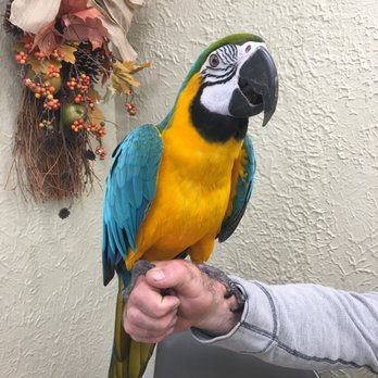 My Pet's Vet - Veterinarians Near Me - Glendale, Wisconsin My Pet's Vet - Veterinarians Near Me - Glendale, Wisconsin