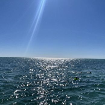 Sole Watersports - Snorkel under the sun - Snorkeling Near Me - Marathon, Florida