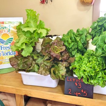 Bekemeyer Family Farm - Various types of lettuce. - Fruits & Veggies Near Me - Winter Garden, Florida
